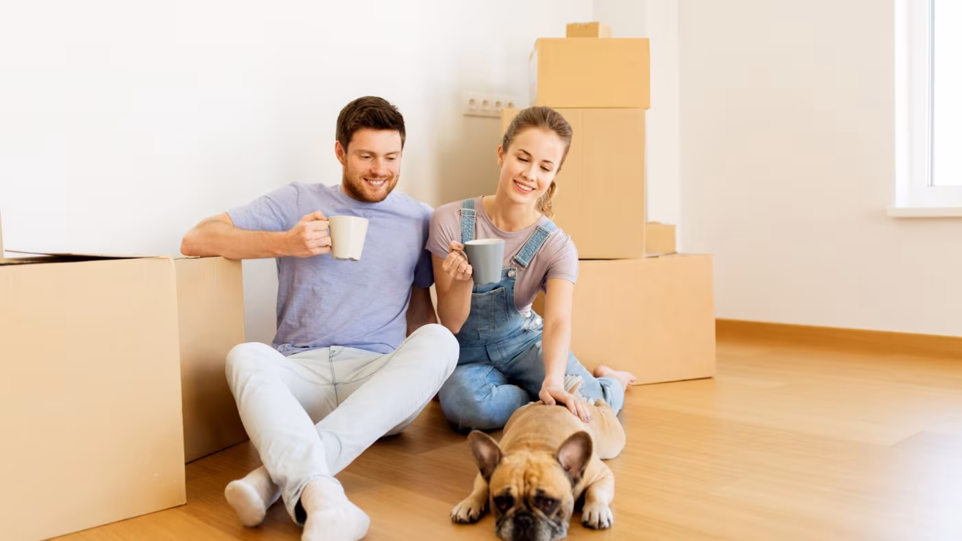 A couple sitting on the floor with mugs and their French bulldog among cardboard boxes