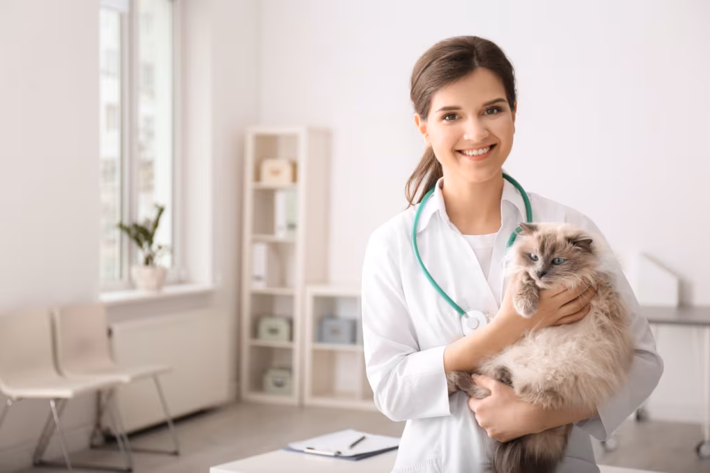 Vet with a cat