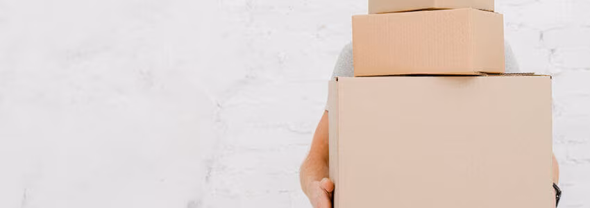 A person holding two cardboard boxes in front of their face against a pale wall