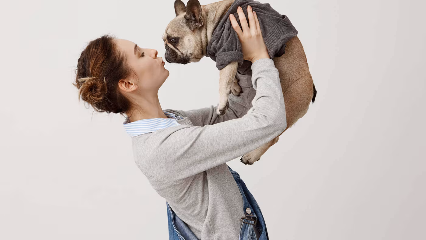 A woman lifting a French bulldog up in front of her face