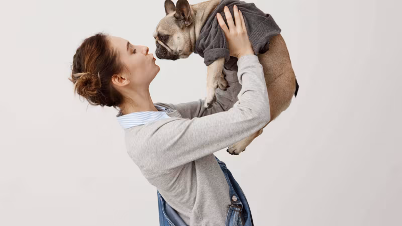 A woman lifting a French bulldog up in front of her face