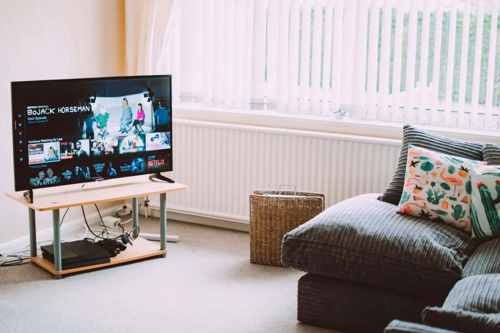 A living room with a television on a low console, cushions and a basket beside a radiator