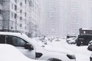 Snow covered street and cars
