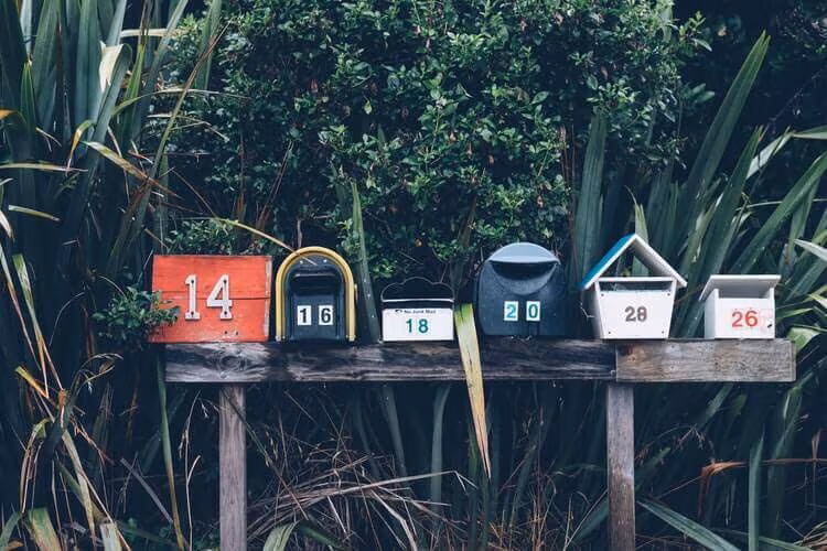 A row of numbered mailboxes mounted on a wooden rail in front of tall grass