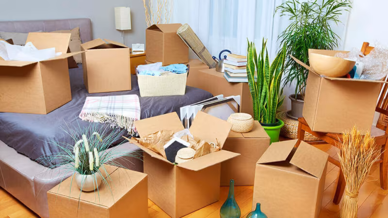 Open cardboard boxes with plants and belongings spread across a living room