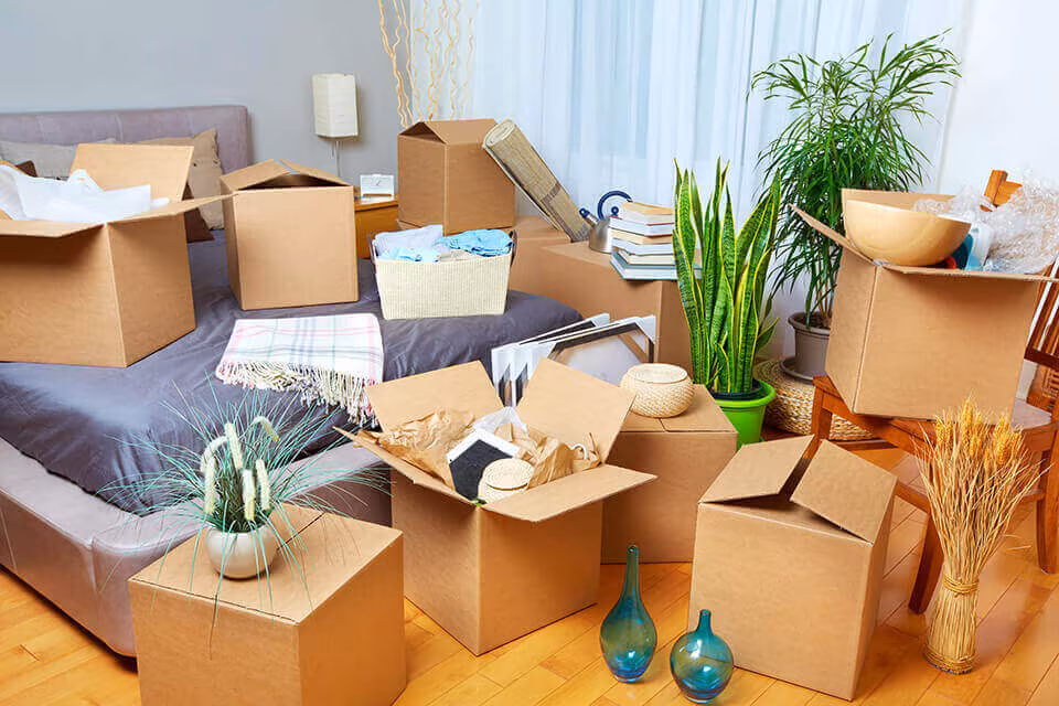 Open cardboard boxes with plants and belongings spread across a living room