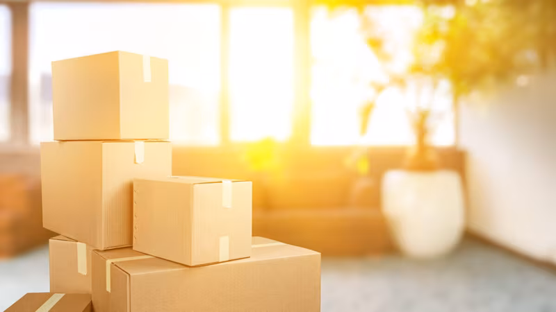 Boxes in the sunny room