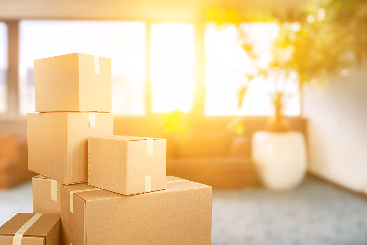 Boxes in the sunny room