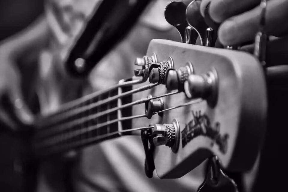 Close-up of a guitar headstock and its tuning pegs, in black and white
