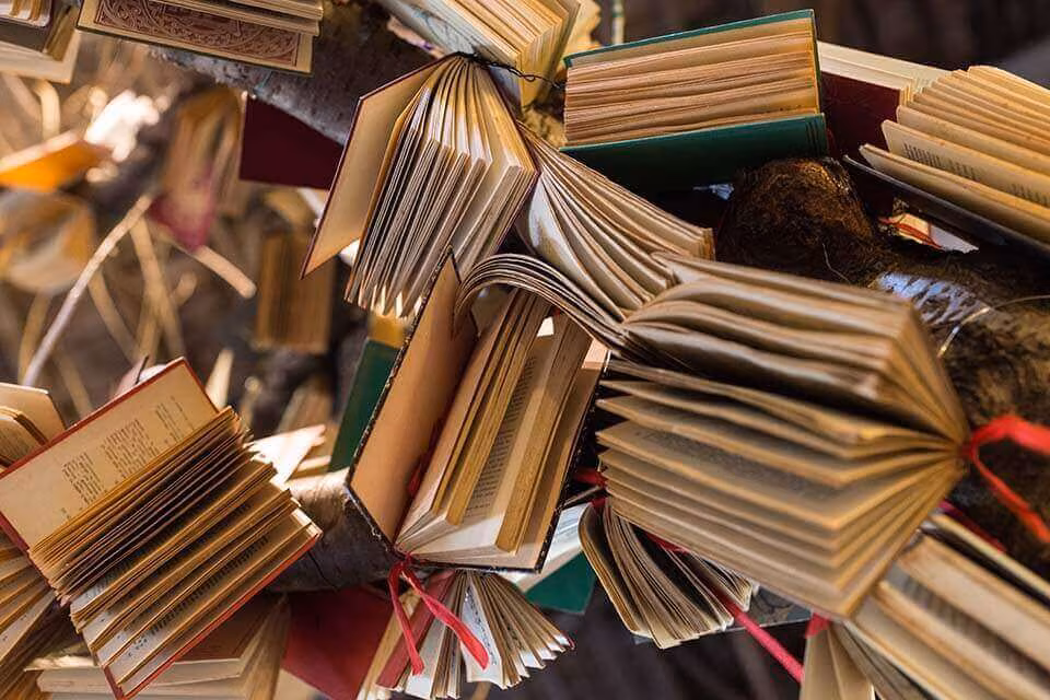 A heap of open books piled together