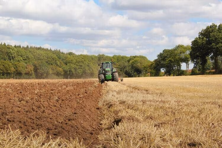 A tractor ploughing a field with woodland behind