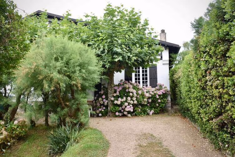 A gravel path leading to a white house behind flowering shrubs and a clipped hedge
