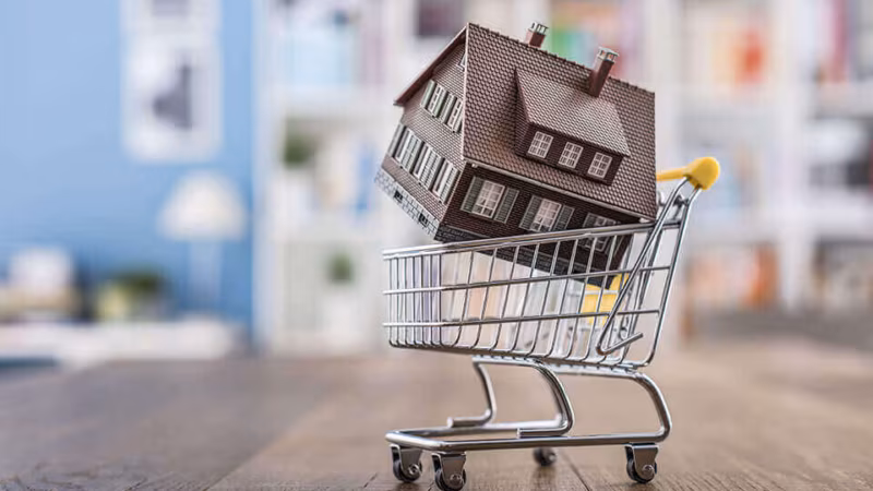 A model house sitting in a miniature shopping trolley