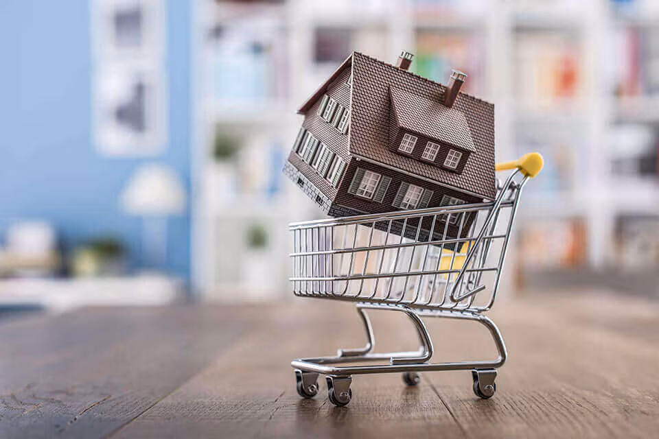 A model house sitting in a miniature shopping trolley