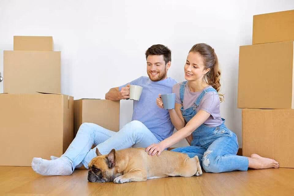 A couple sitting on the floor with mugs and their dog among cardboard boxes