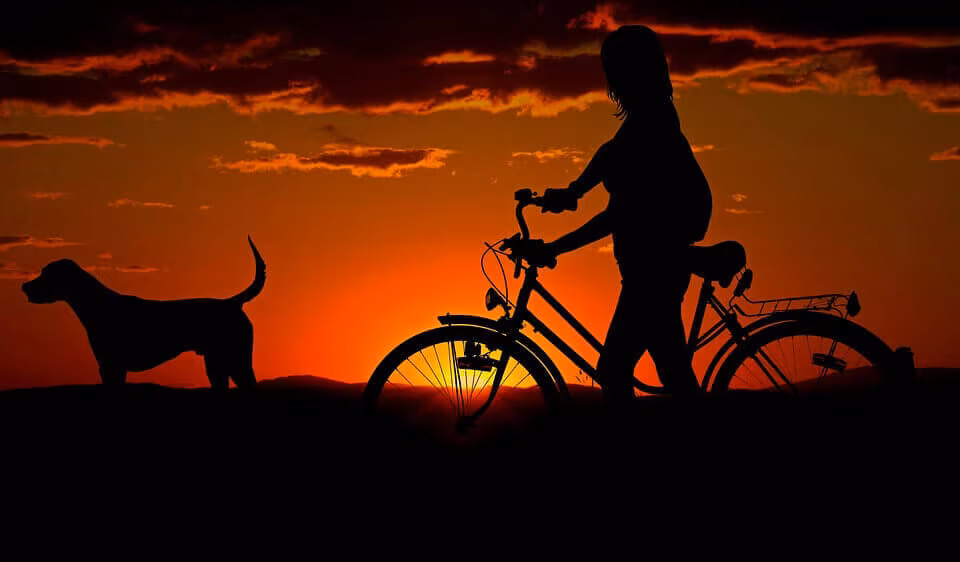 The silhouette of a person pushing a bicycle with a dog beside them against a red sunset