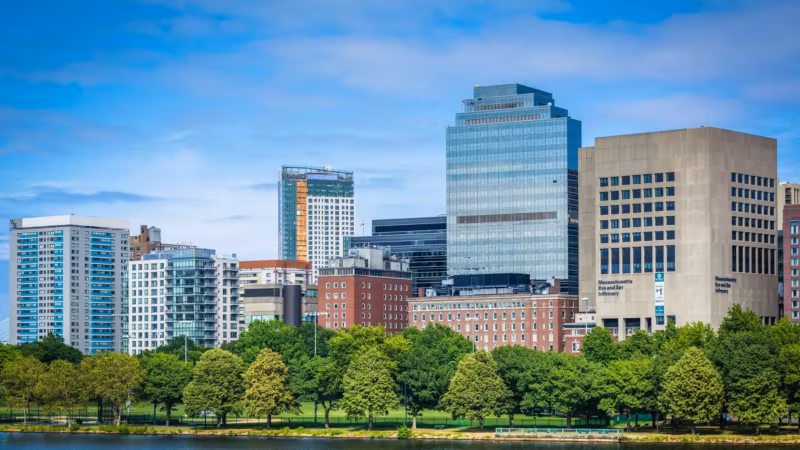 Back Bay apartment buildings and trees seen from across the Charles River