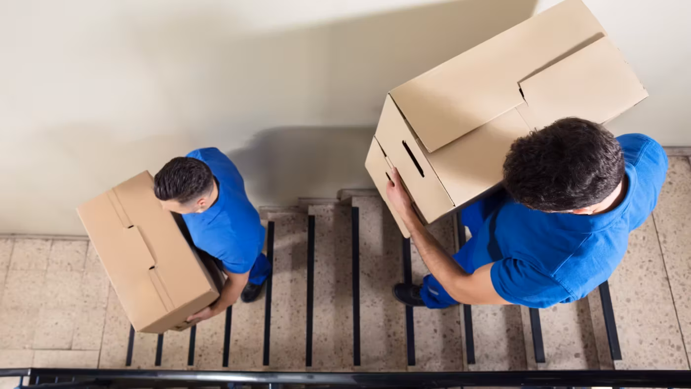 A mover carrying a carton down a short flight of stairs