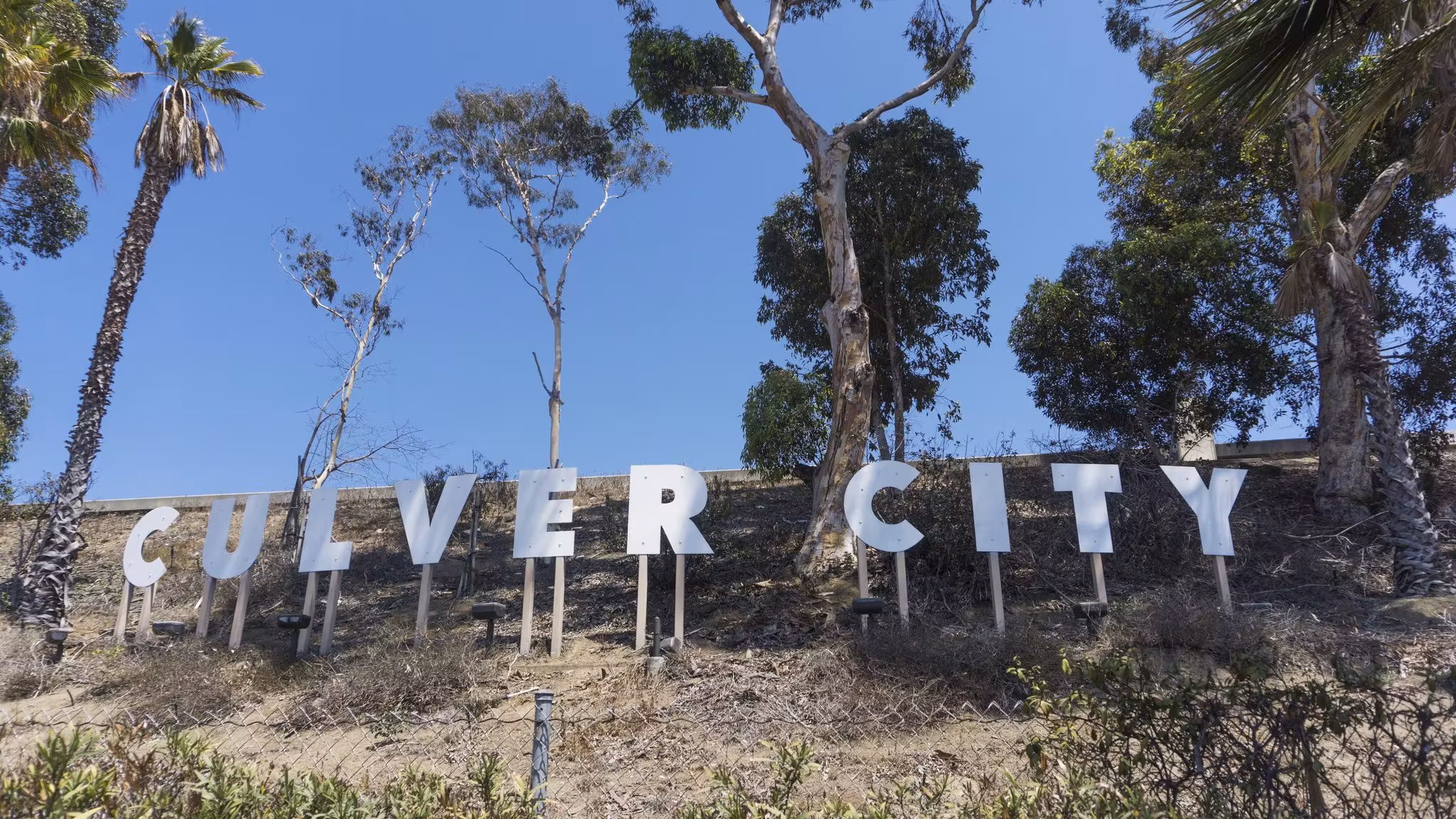 The Culver City sign standing among trees against a clear sky