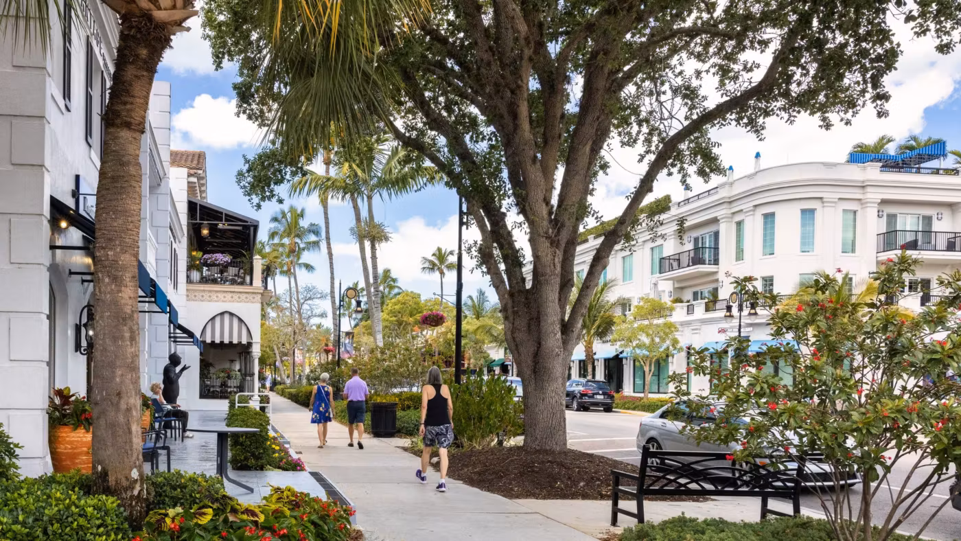 A Florida main street shaded by palms and old trees, with shopfronts along the pavement