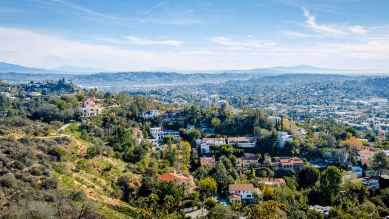 Homes on a wooded Los Angeles hillside above the basin