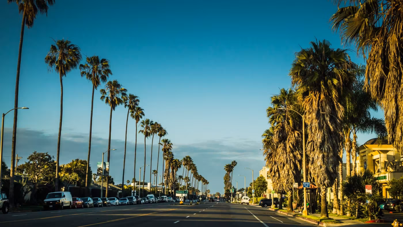 A wide Los Angeles boulevard lined with tall palms