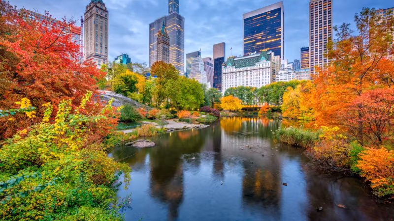 Central Park in autumn color with the Midtown Manhattan skyline behind it