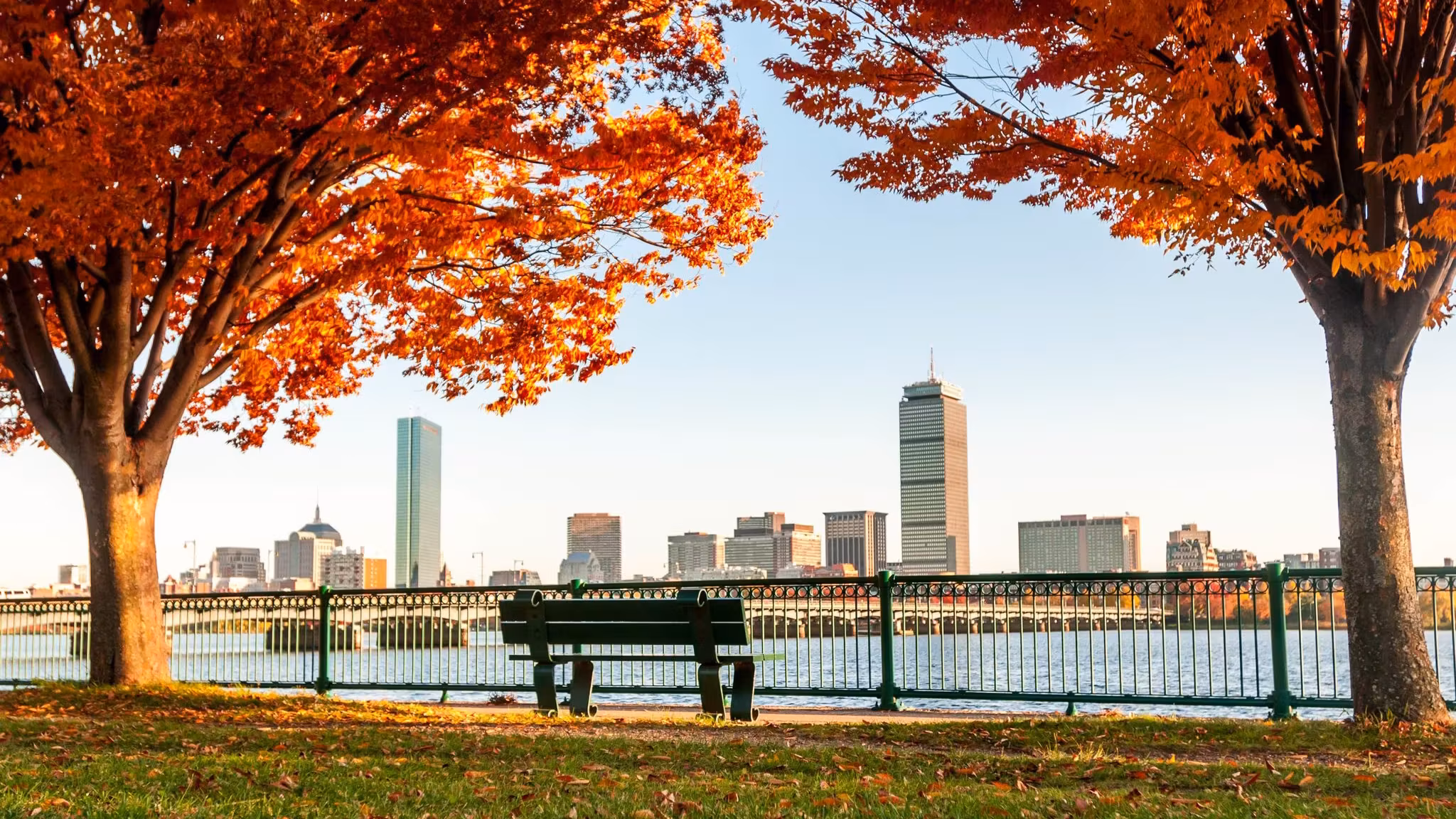 Autumn trees framing the Boston skyline across the Charles River