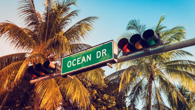 An Ocean Drive street sign among palm trees in Miami Beach