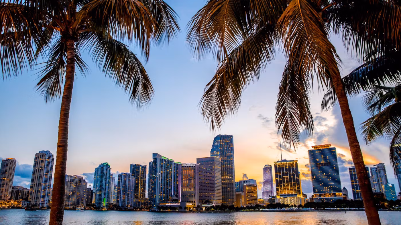 The Miami skyline at sunset framed by palm trees across the bay