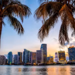 The Miami skyline at sunset framed by palm trees across the bay