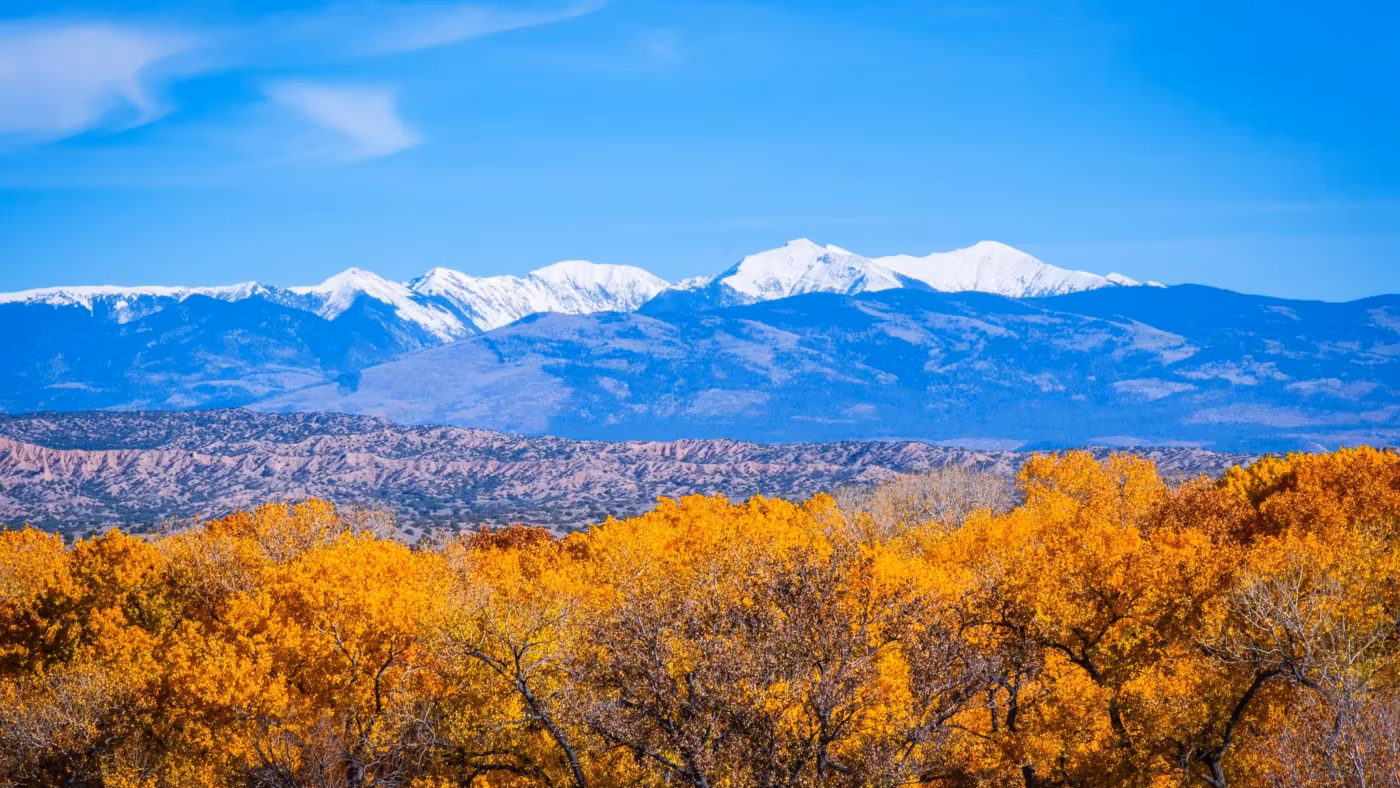 Golden cottonwoods below snow-covered New Mexico peaks