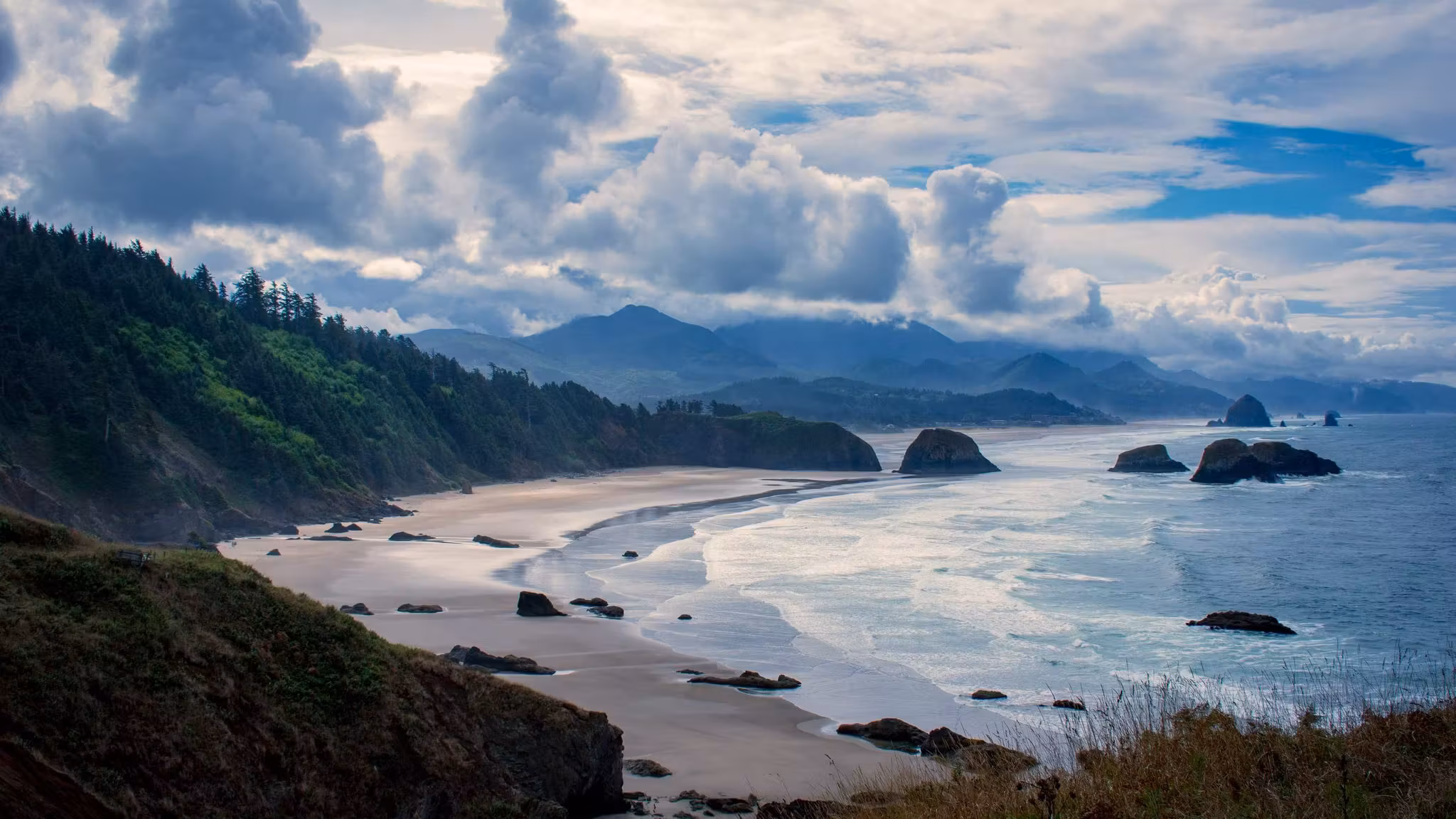 A curving beach and sea stacks below a forested headland on the Oregon coast