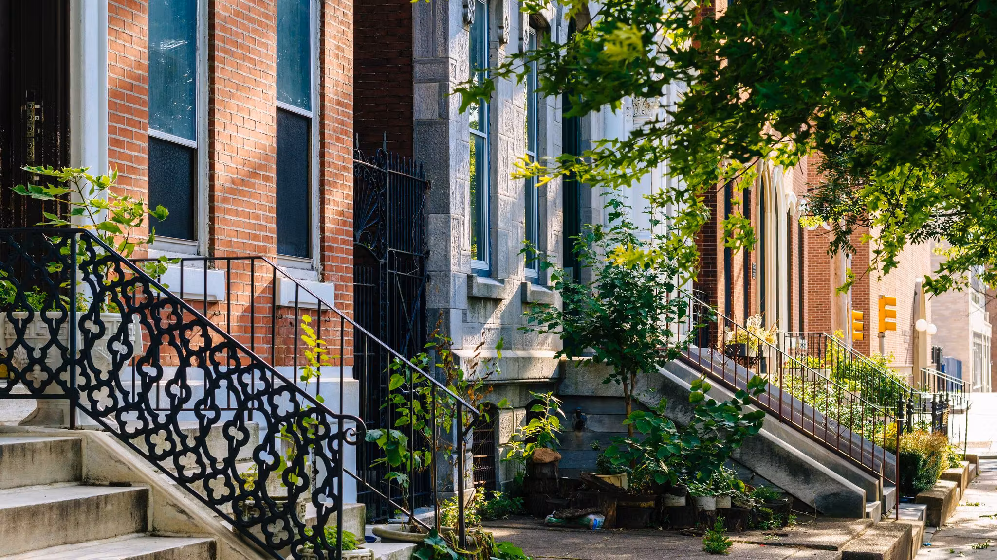 Front steps and iron railings of Philadelphia rowhouses on a leafy street