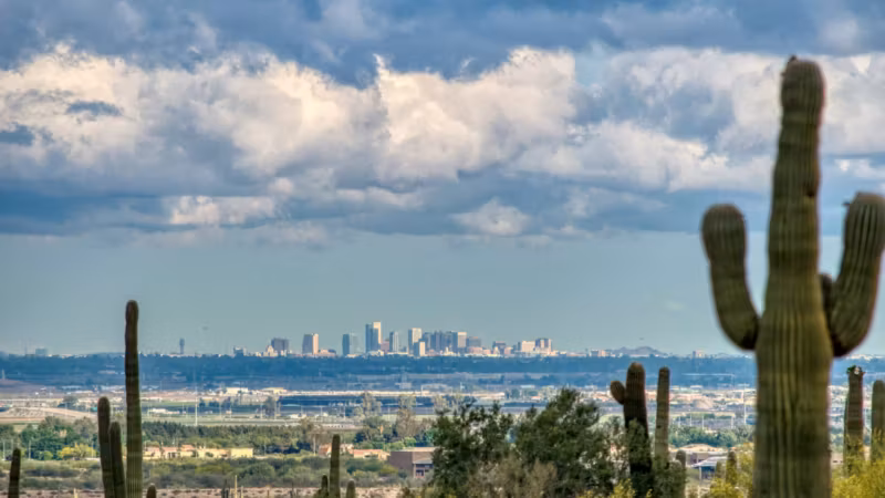 A saguaro cactus on a hillside with the Phoenix skyline in the distance