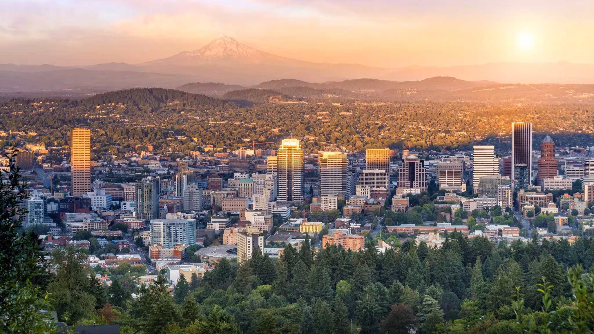 Downtown Portland seen over forest with Mount Hood beyond at sunset