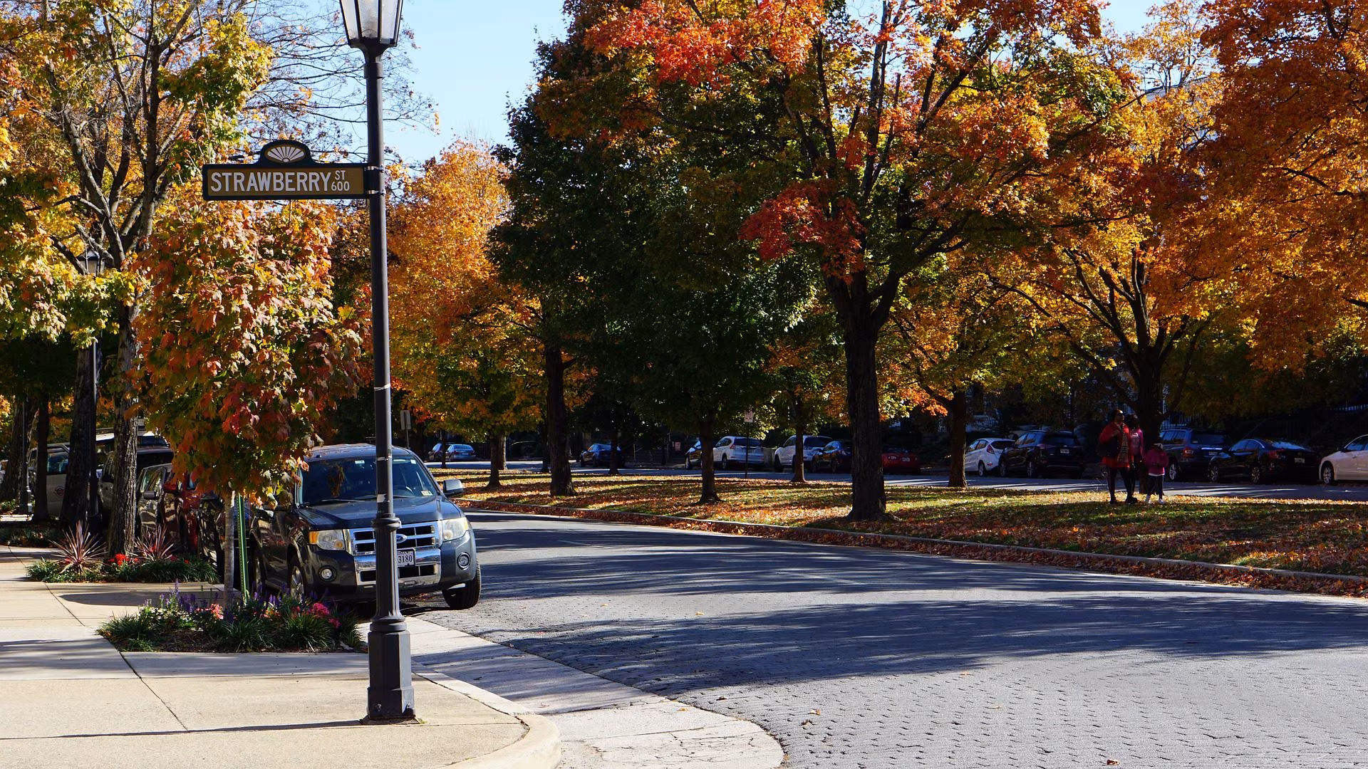 Autumn trees along Strawberry Street in Richmond with cars parked at the curb