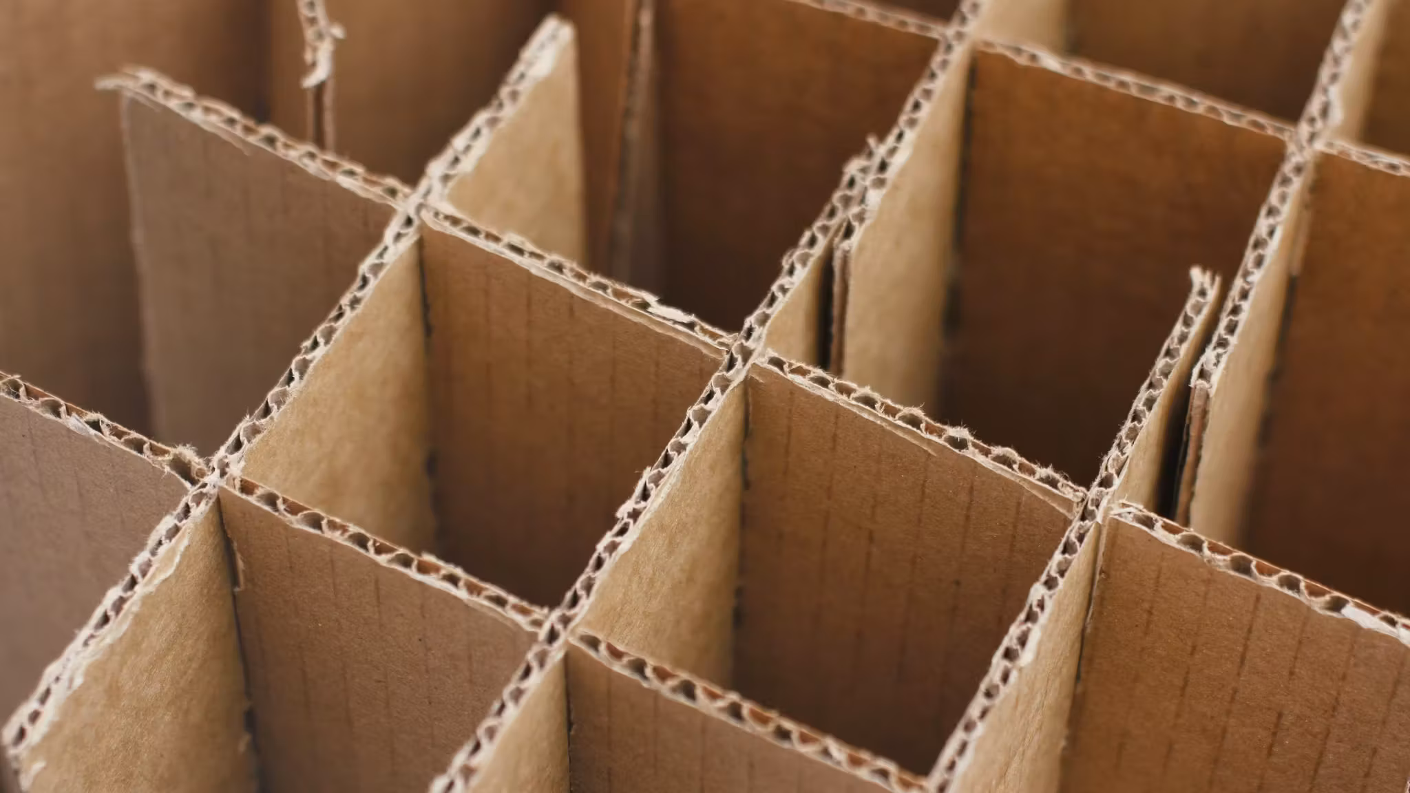 Cardboard cell dividers, the grid that keeps glassware apart inside a carton