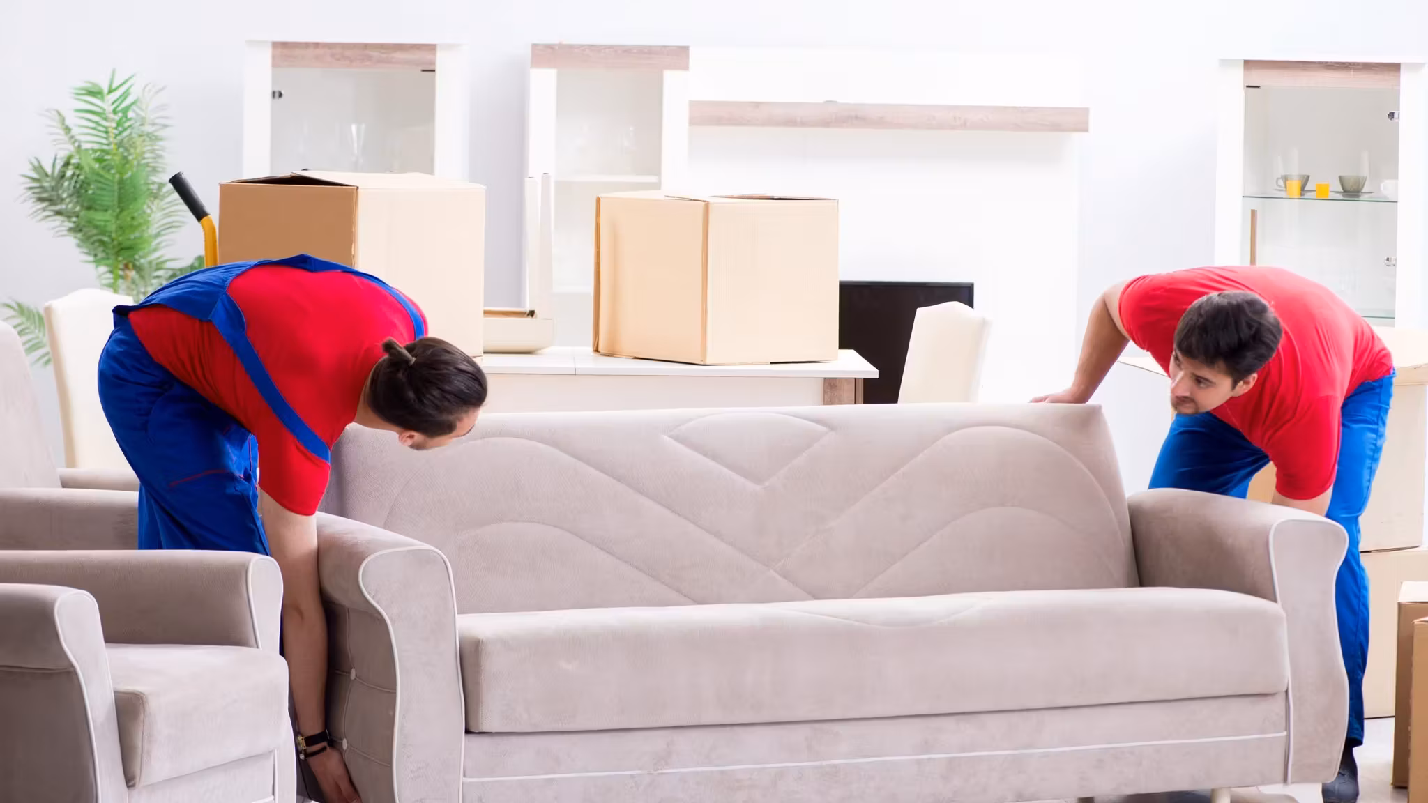 Two movers drawing a cover over an upholstered sofa