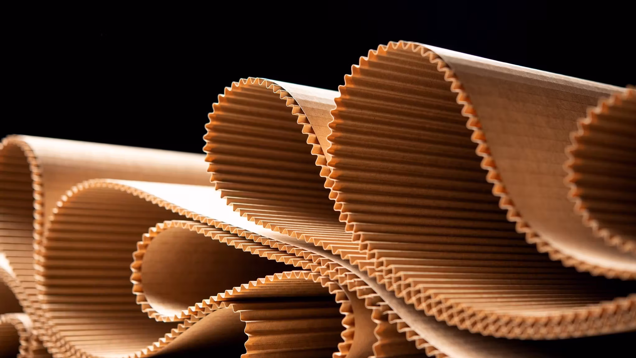 Rolls of corrugated board standing on a dark ground