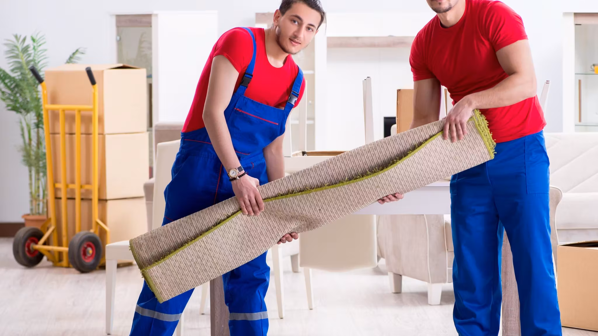 Two movers rolling a rug up between them