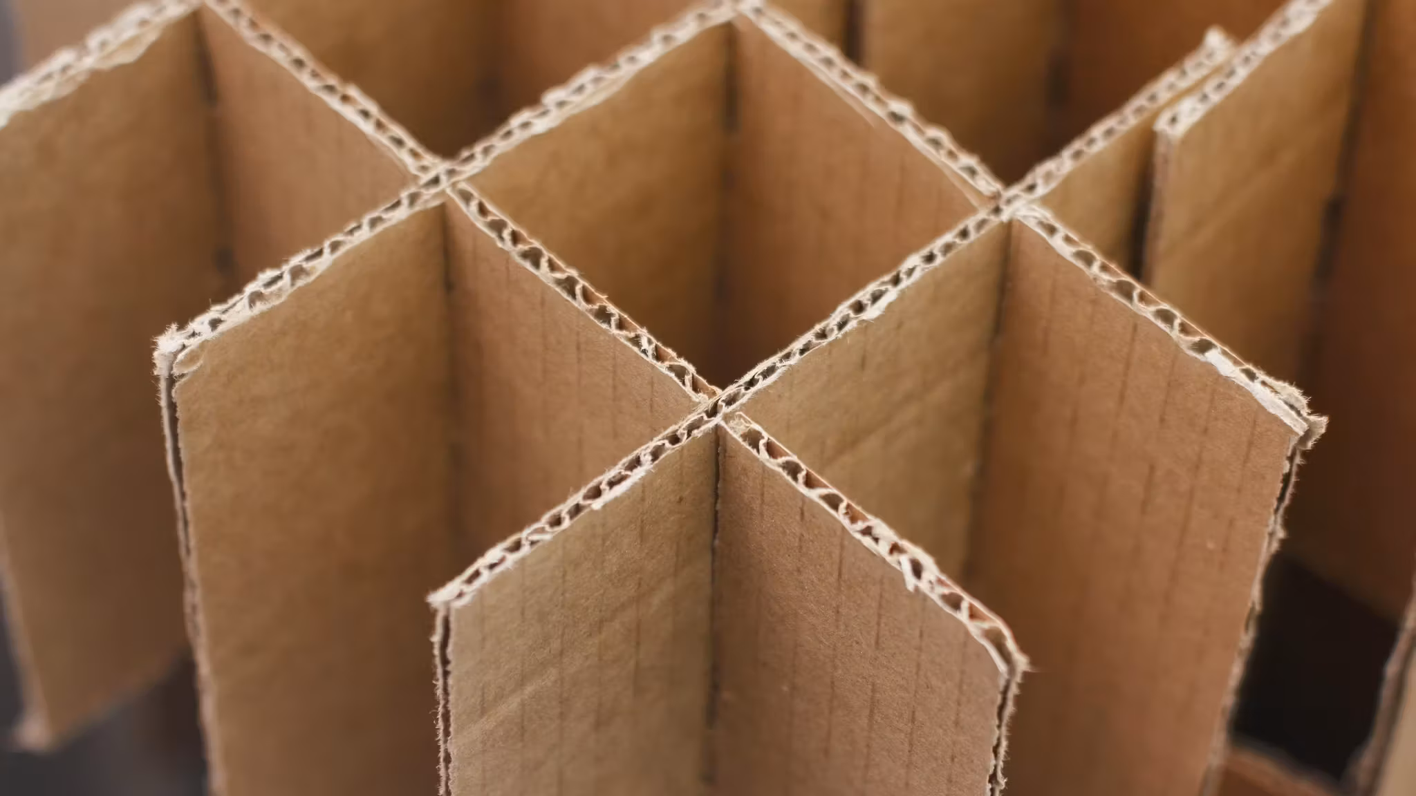 A close view of cardboard cell dividers