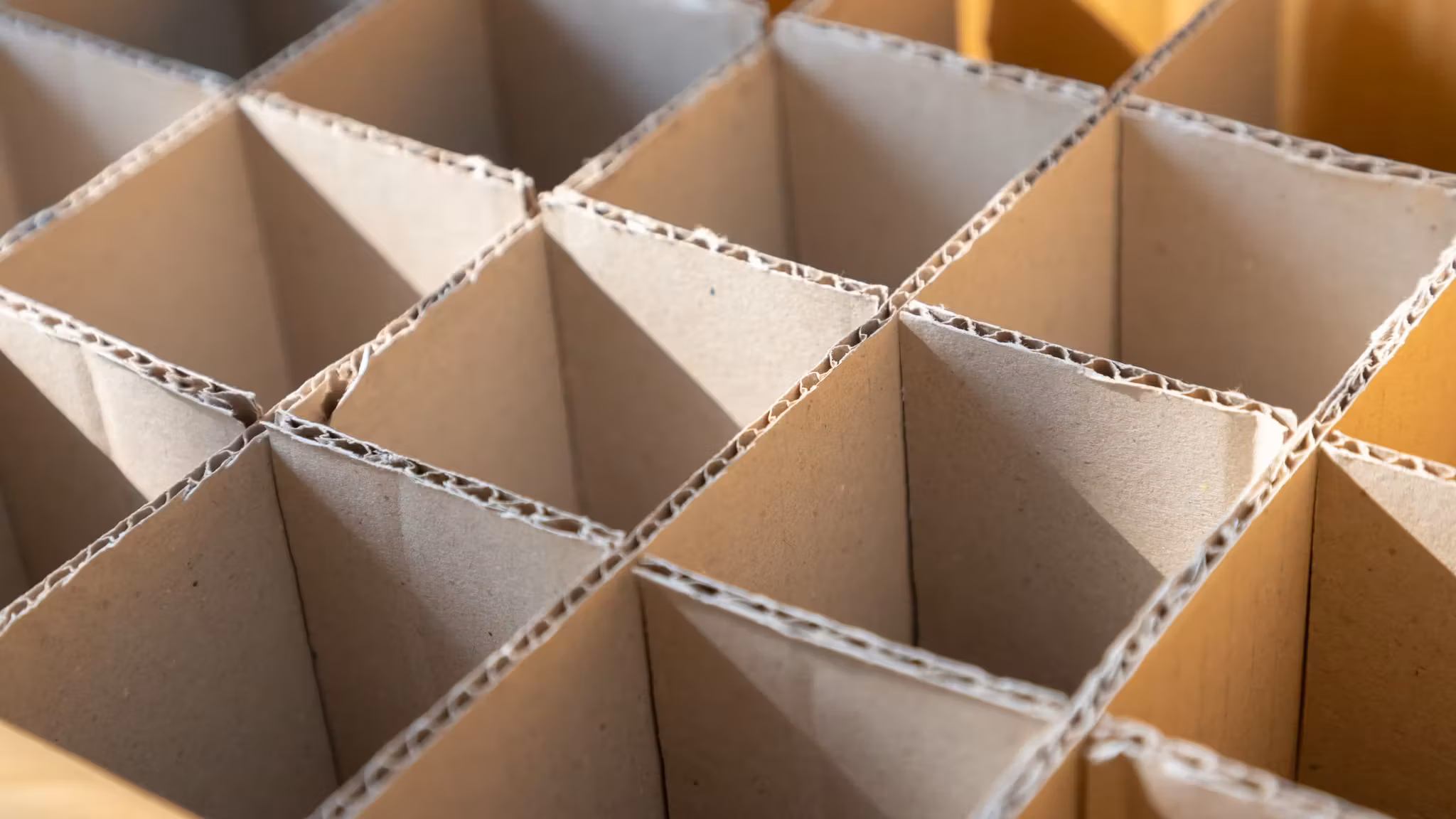 A cardboard divider grid seen from above