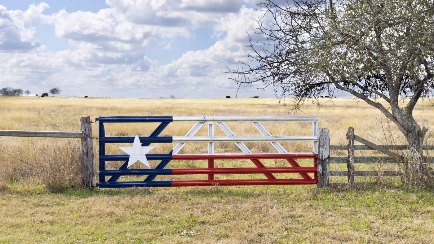 A ranch gate painted as the Texas flag on open pasture