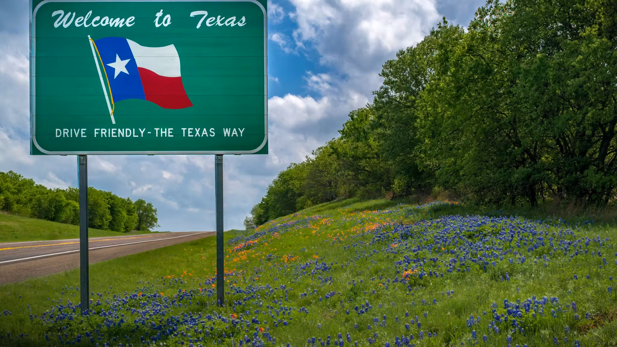 A Welcome to Texas highway sign beside a bank of bluebonnets
