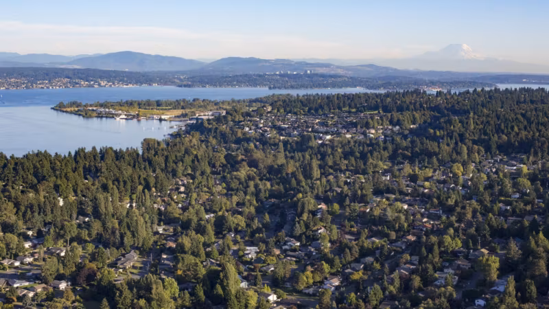 Aerial view of houses among evergreens along a lake in Washington with mountains on the horizon